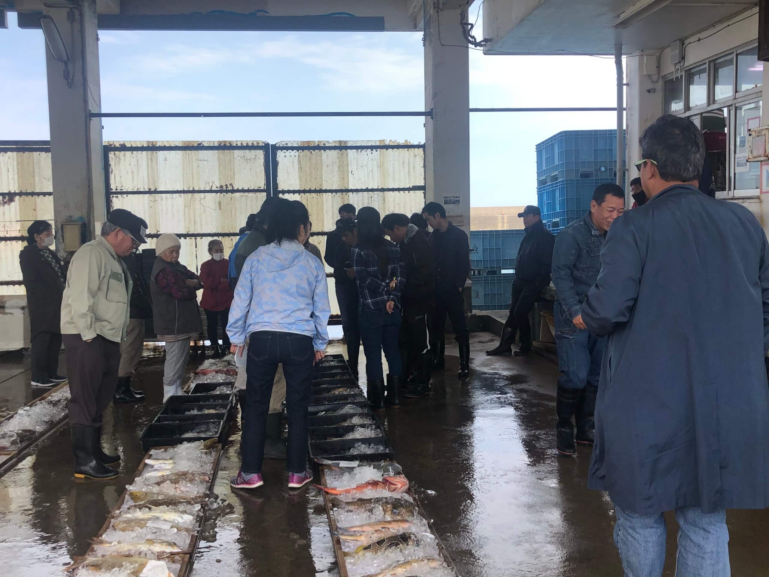 Experience of Fresh fish auction (Seri)